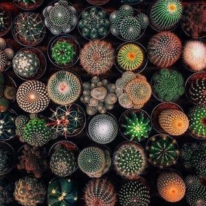 Meet your Posher, Raul